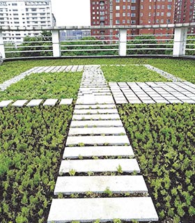 Self irrigation greening system