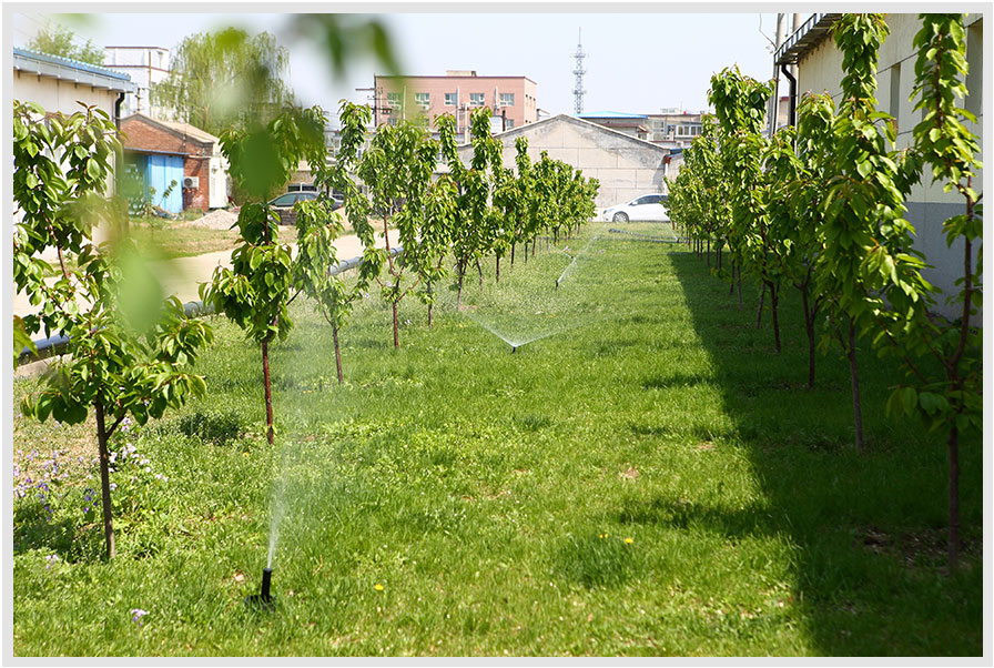 Rainwater greening irrigation