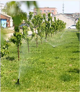 Rainwater greening irrigation